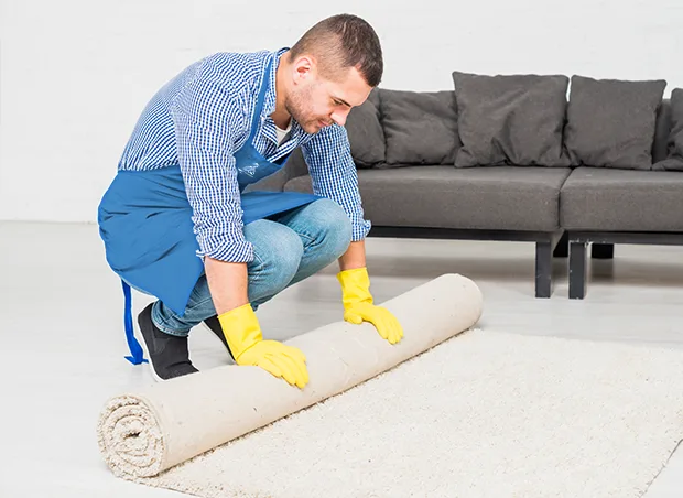 Deep carpet cleaning service for stain removal and freshness.